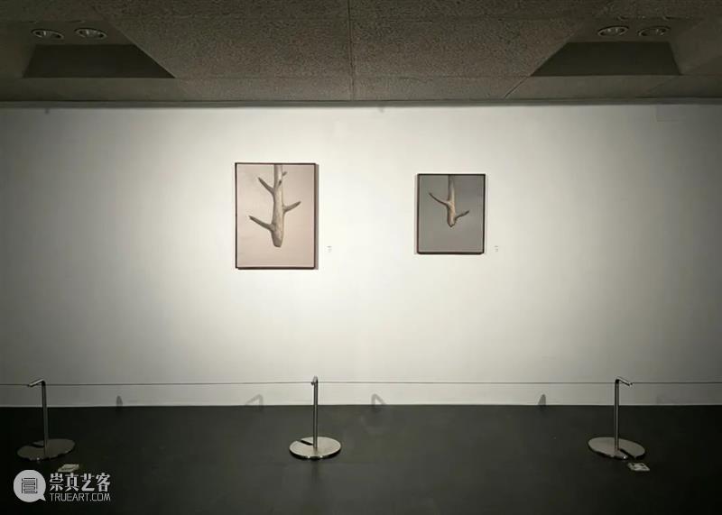 艺术家 | 闫冰个展《梨花白了》3月25日于广东美术馆开幕 博文精选 ShanghART 闫冰 个展 梨花白了 广东美术馆 艺术家 白花 油画 香格纳画廊 美术馆 空间 崇真艺客
